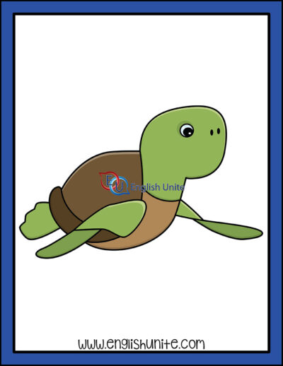 剪辑art - turtle