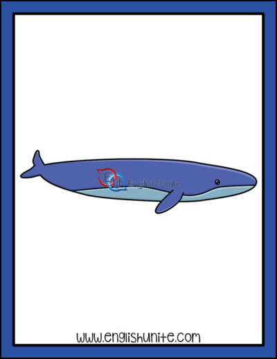 剪贴画-鲸鱼