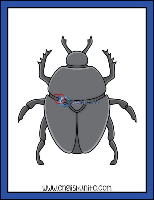 clip art - beetle